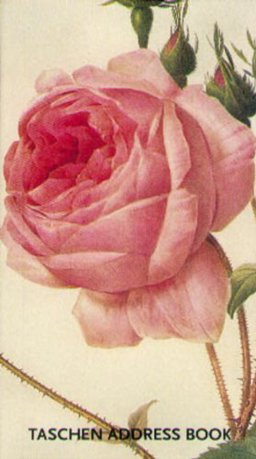 Redoute Roses