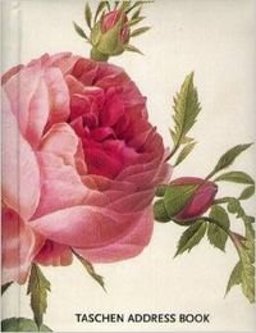 Redoute Roses