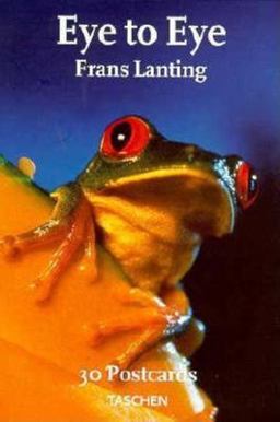 Eye to Eye Postcard Book