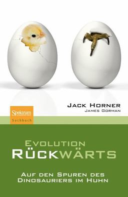 Evolution Rückwärts