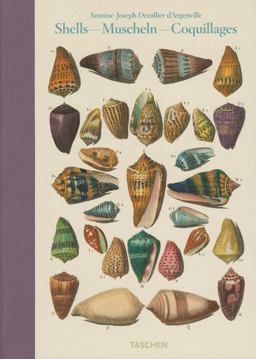 Dezallier d'Argenville - Muschelkunde  9783836511117 Front Cover