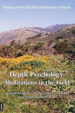 Depth Psychology Meditations in the Field 2nd 9783856307011 Front Cover