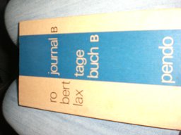 Journal/Tagebuch B