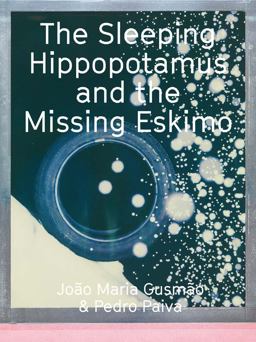 João Maria Gusmão and Pedro Paiva: the Sleeping Hippopotamus and the Missing Eskimo