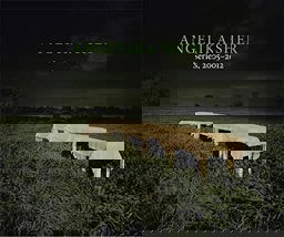 Angelika Sher - Series, 2005-2012 2014 9783868284911 Front Cover