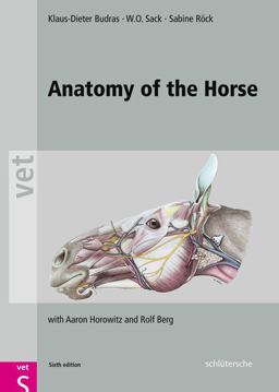 Anatomy of the Horse 6th 9783899936667 Front Cover
