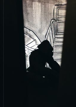 Zilla Leutenegger: Zillagorilla