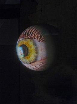 Tony Oursler: Specular Tony Oursler: Specular