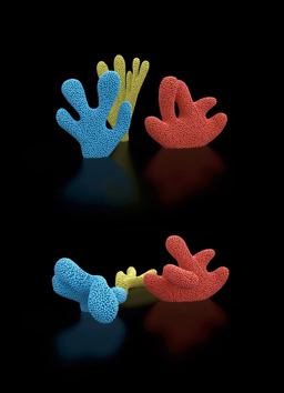 Claudia Comte: after Nature