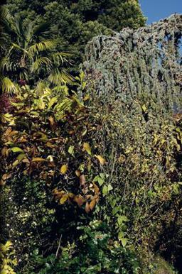 Nicolas Faure: the Order of Things