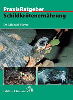 Schildkrotenernahrung
