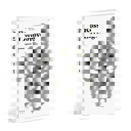 Convergence  9783944874760 Front Cover