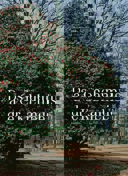 Das Geheimnis der Kamelie