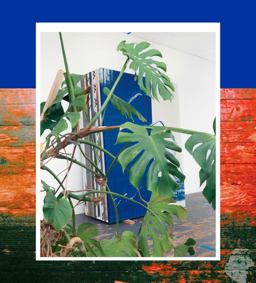 Wade Guyton: Das New Yorker Atelier  9783960980759 Front Cover