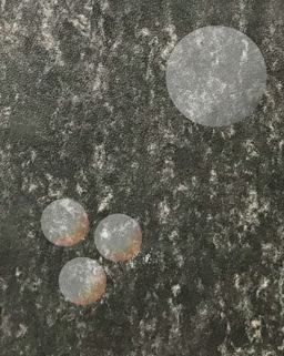 Skulptur Projekte Archiv Skulptur Projekte Archiv