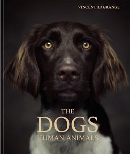 Dogs Human Animals  9783961713042 Front Cover