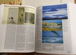 Japan:An Illustrated Encyclopedia