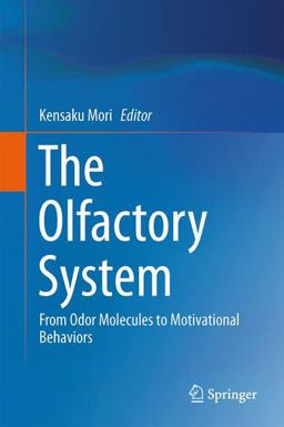 The Olfactory System The Olfactory System