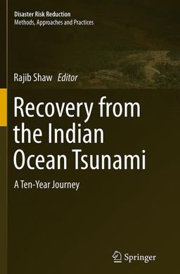 Recovery from the Indian Ocean Tsunami