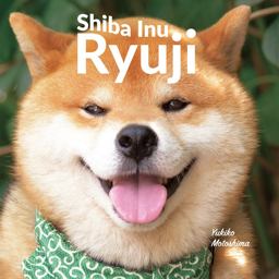 Shiba Inu Ryuji  9784756253798 Front Cover