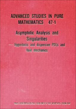 Asymptotic Analysis and Singularities