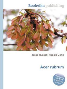 Acer Rubrum