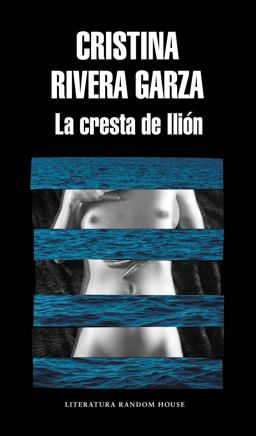 Cresta de Iliï¿½n / the Iliac Crest  9786073173117 Front Cover