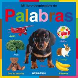 Mi Libro Desplegable de Palabras