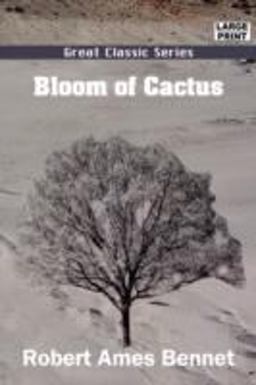 Bloom of Cactus Bloom of Cactus