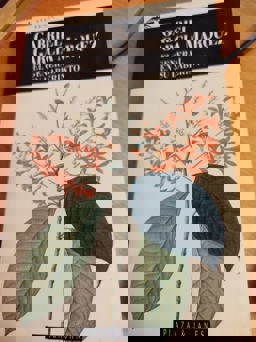 El General en Su Laberinto