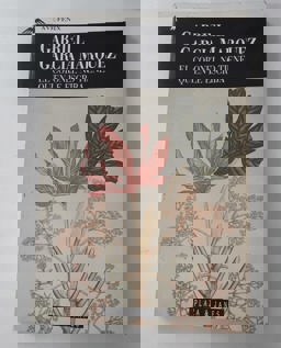 Los Funerales de la Mamá Grande