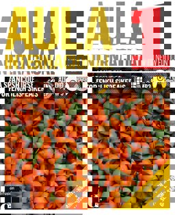 Aula Internacional - Nueva edicion: Student's Book + exercises + CD 1 (bilingu 1st 9788415846772 Front Cover