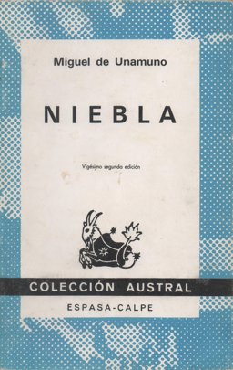 Niebla