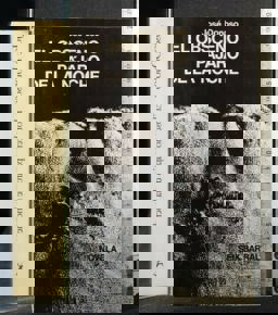 El Obsceno Pájaro de la Noche