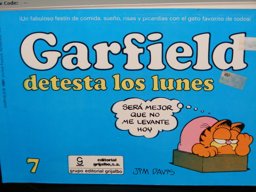 Garfield Detesta los Lunes Garfield Detesta los Lunes