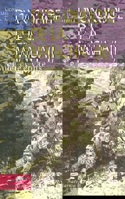 Don Quijote de la Mancha