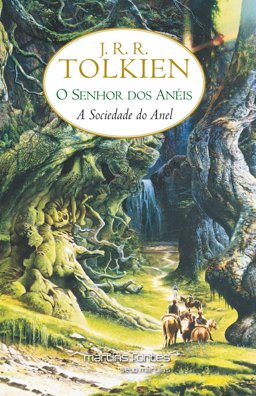 Senhor dos Aneis