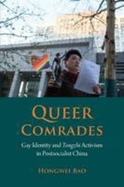 Queer Comrades Gay Identity and Tongzhi Activism in Postcolonial China  9788776942366 Front Cover