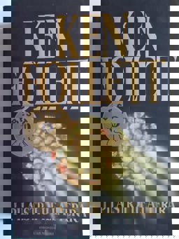 I Pilastri Della Terra