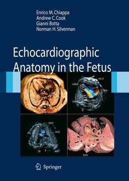 Echocardiographic Anatomy in the Fetus  9788847005723 Front Cover
