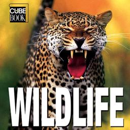 Wildlife (MiniCube)