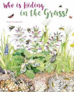 Who Is Hiding in the Grass?  9788854411470 Front Cover