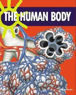 The Human Body