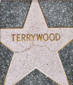 Terry Richardson: Terrywood  9788862082518 Front Cover