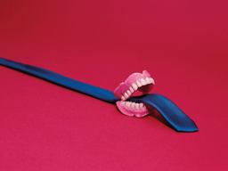 Toiletpaper Magazine 12  9788862084284 Front Cover