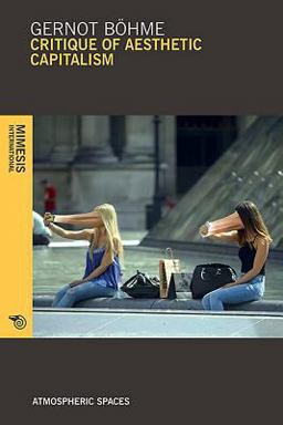 A Critique for Aesthetic Capitalism