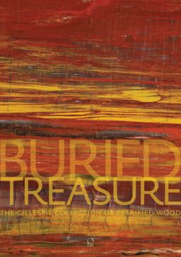Buried Treasure The Gillespie Collection of Petrified Wood  9788899765026 Front Cover