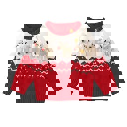 Information Systems for Soil and Related Data