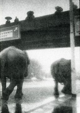 Susanne Kriemann: One Day