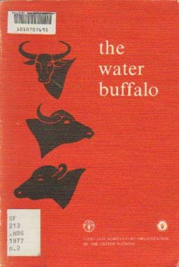 The Water Buffalo